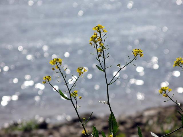 Фото Виктора Каплуна