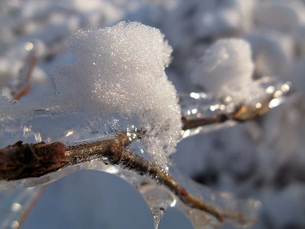 Фото Виктора Каплуна