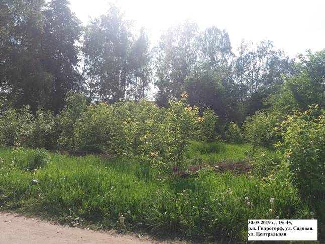 C:\Documents and Settings\Администратор\Рабочий стол\4.jpg